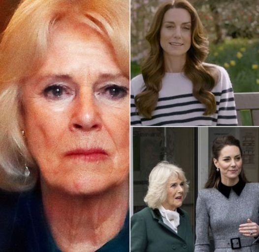 After receiving a cancer diagnosis, Queen Camilla speaks out against Kate Middleton